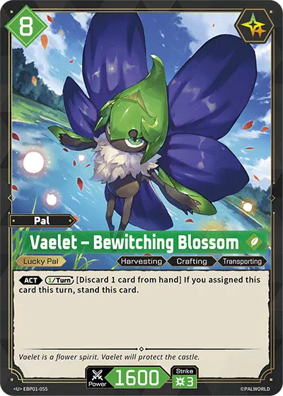 Vaelet – Bewitching Blossom